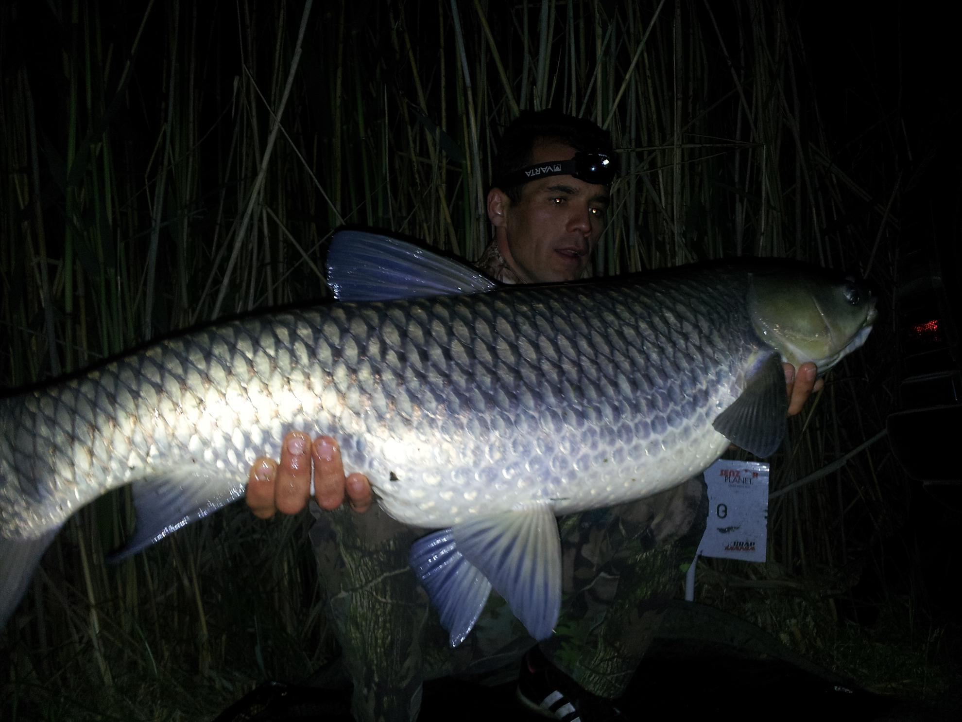 tancabesti 11-12'05''2013 - 20130512012948.jpg